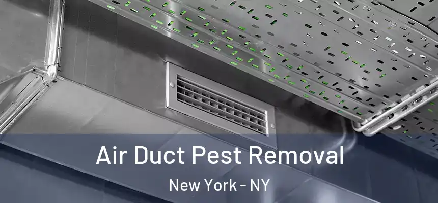 Air Duct Pest Removal New York - NY