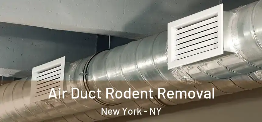 Air Duct Rodent Removal New York - NY