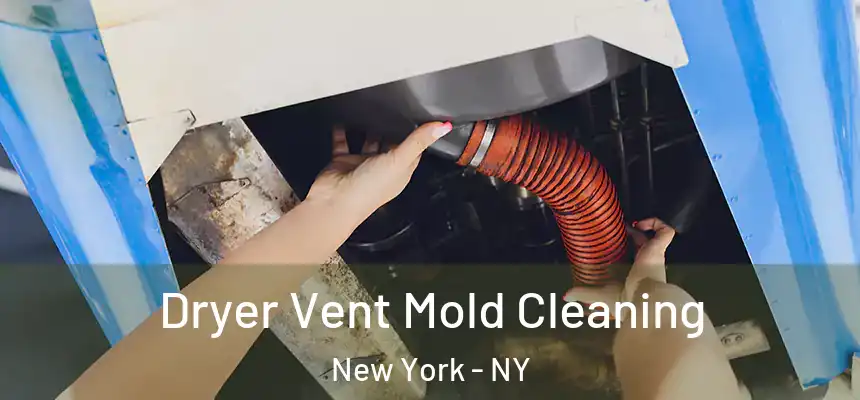Dryer Vent Mold Cleaning New York - NY