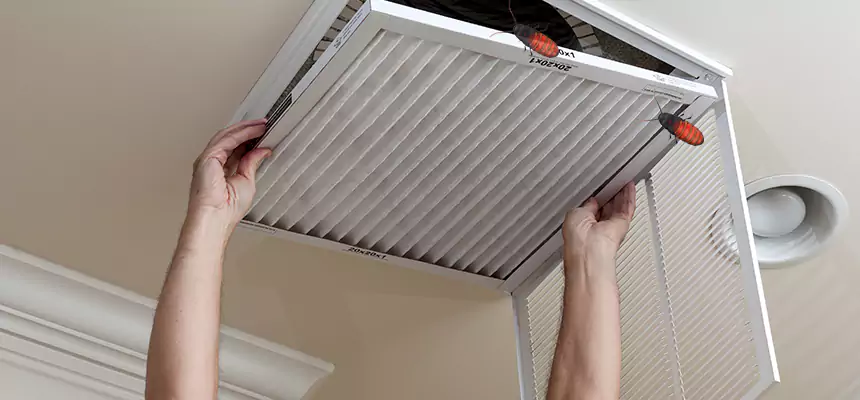 Preventive Cockroach-Proofing for Ducts in New York