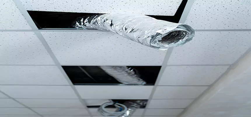 Our Air Duct Pet Hair Removal Services in New York, NY