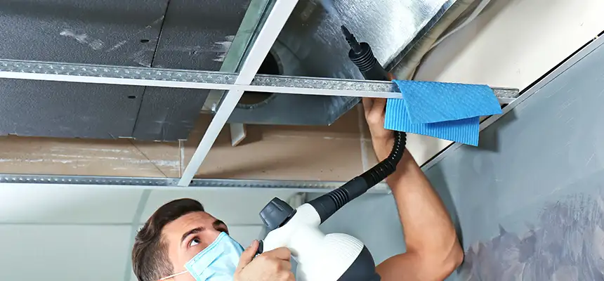 Our Air Duct Rodent Removal Services in New York, NY