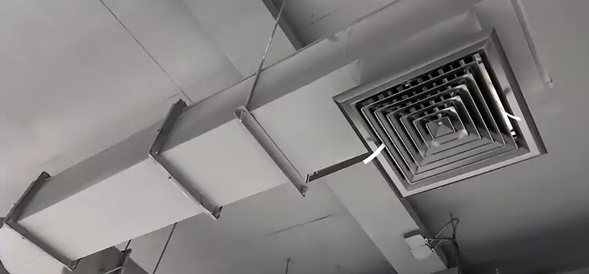 Our Pest Removal From Ducts Services in New York, NY