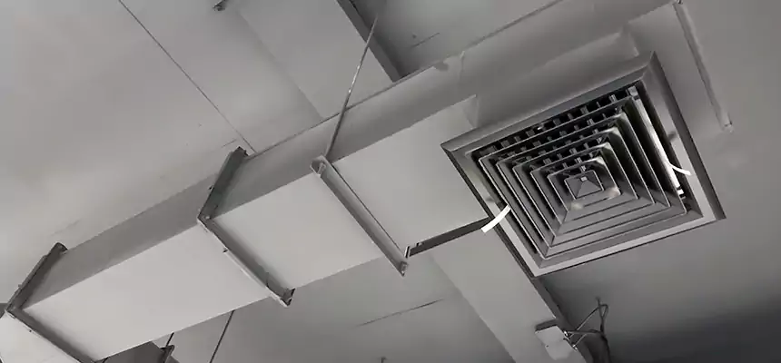 Our Rodent Droppings In Vents Services in New York, NY