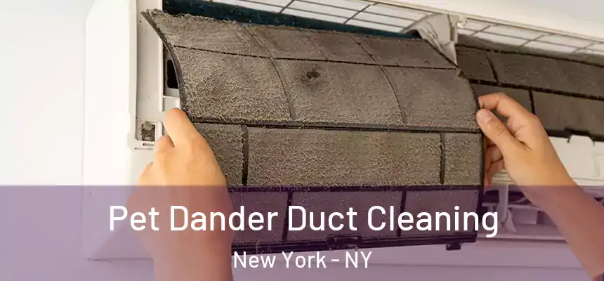 Pet Dander Duct Cleaning New York - NY