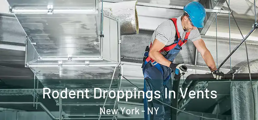  Rodent Droppings In Vents New York - NY
