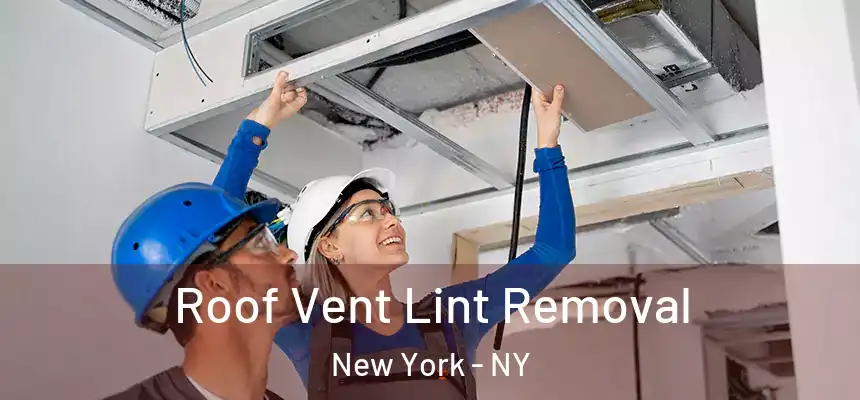 Roof Vent Lint Removal New York - NY