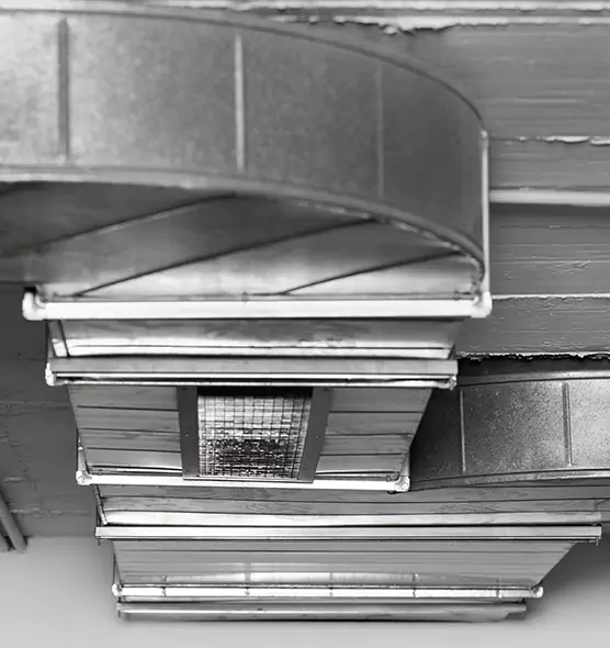 Professional Air Duct Pest Removal in New York, NY