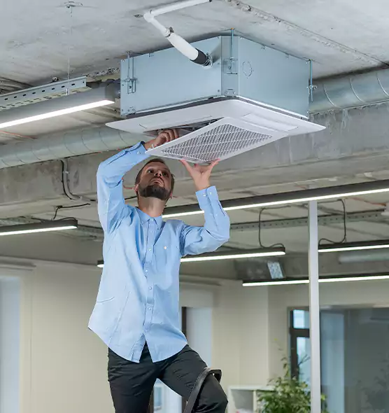 Advanced Rodent Droppings In Vents in New York, NY