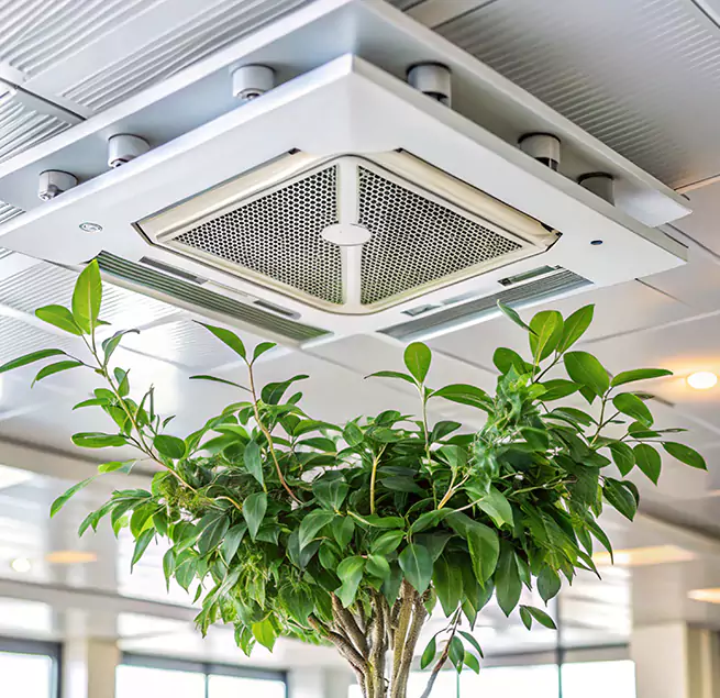 Why Homeowners & Businesses Trust Us in New York, NY?